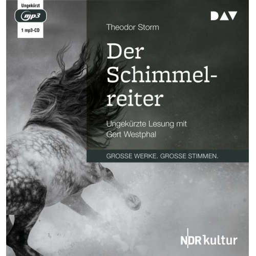 Theodor Storm - Der Schimmelreiter