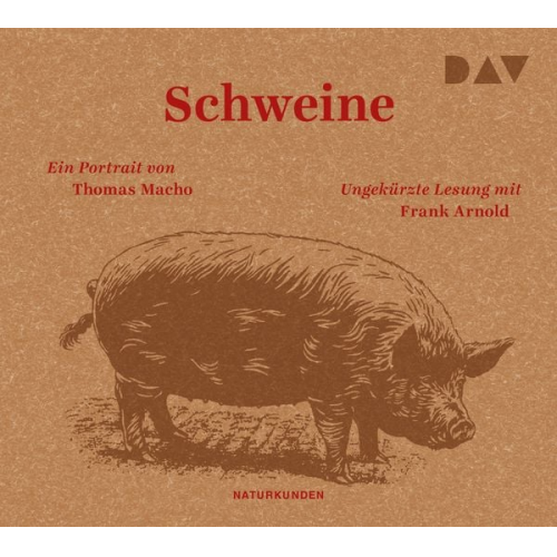 Thomas Macho - Schweine. Ein Portrait