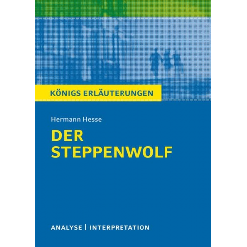 Hermann Hesse - Der Steppewolf von Hermann Hesse.