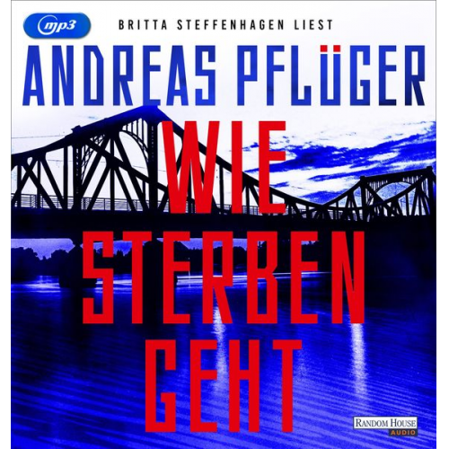 Andreas Pflüger - Wie Sterben geht