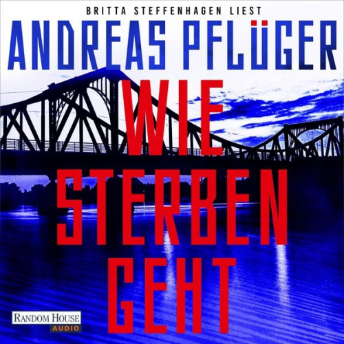 Andreas Pflüger - Wie Sterben geht