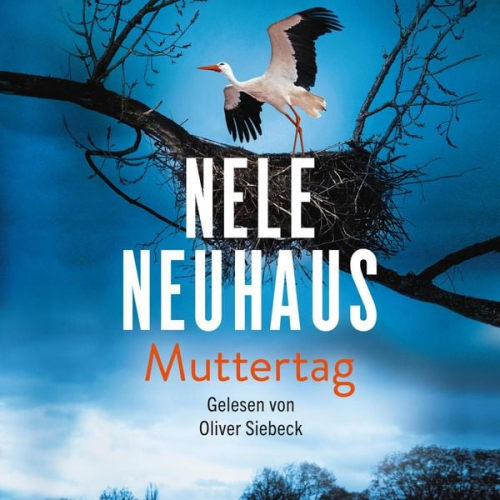 Nele Neuhaus - Muttertag (Ein Bodenstein-Kirchhoff-Krimi 9)