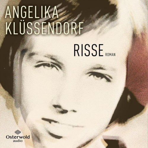 Angelika Klüssendorf - Risse