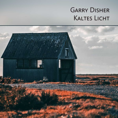 Garry Disher - Kaltes Licht