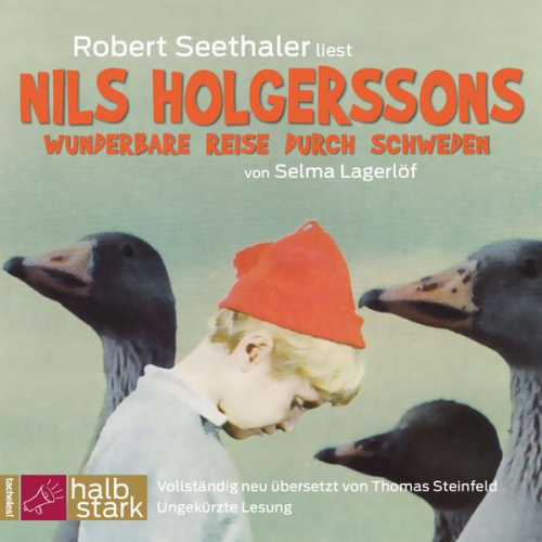 Selma Lagerlöf - Nils Holgerssons wunderbare Reise durch Schweden