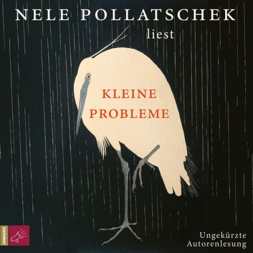 Nele Pollatschek - Kleine Probleme