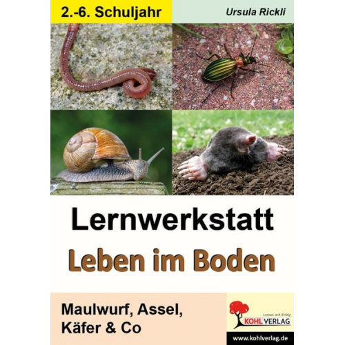 Ursula Rickli - Lernwerkstatt Leben im Boden