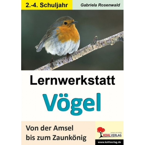 Gabriela Rosenwald - Lernwerkstatt Vögel Von der Amsel bis zum Zaunkönig