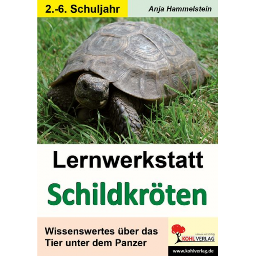 Anja Hammelstein - Lernwerkstatt Schildkröten