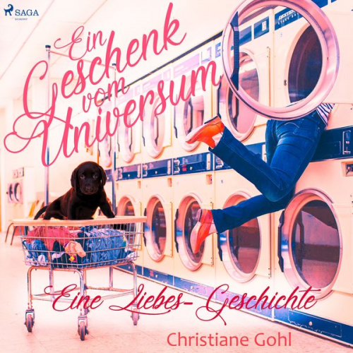 Christiane Gohl - Ein Geschenk vom Universum - Eine Liebes-Geschichte (Gekürzt)