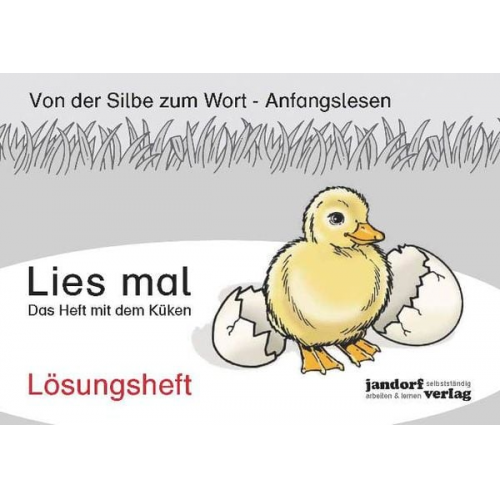 Peter Wachendorf - Lies mal - Das Heft mit dem Küken (Lösungsheft)