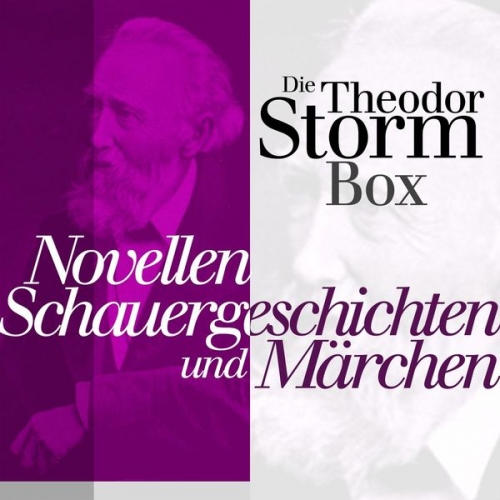 Theodor Storm - Novellen, Schauergeschichten und Märchen