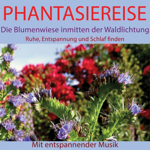 Maximilian Neumann - Phantasiereise: Die Blumenwiese inmitten der Waldlichtung