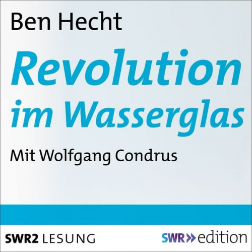 Ben Hecht - Revolution im Wasserglas