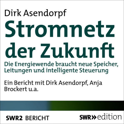 Dirk Asendorpf - Stromnetz der Zukunft