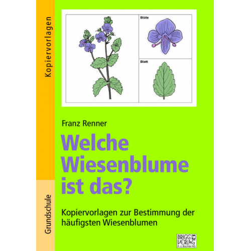 Franz Renner - Welche Wiesenblume ist das?