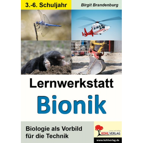 Birgit Brandenburg - Lernwerkstatt Bionik