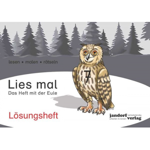 Anja Wachendorf Peter Wachendorf - Lies mal Band 7 - Das Heft mit der Eule (Lösungsheft)