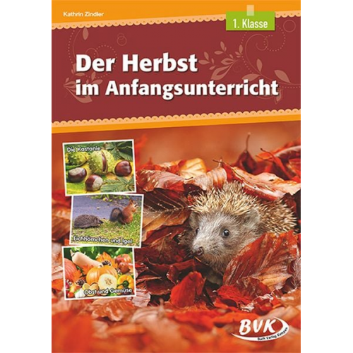 Kathrin Zindler - Der Herbst im Anfangsunterricht