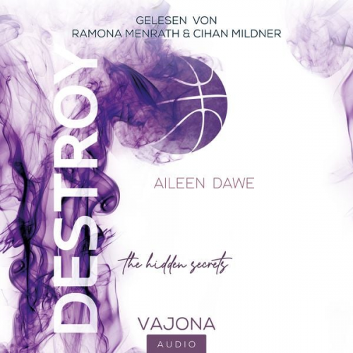 Aileen Dawe - DESTROY the hidden secrets (DESTROY-Reihe 1)