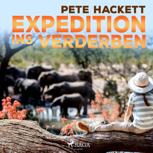 Pete Hackett - Expedition ins Verderben