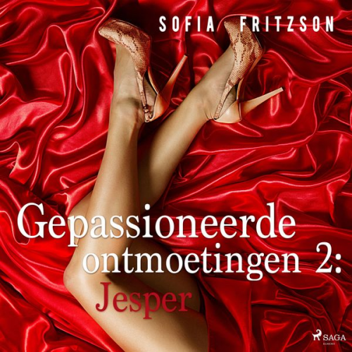 Sofia Fritzson - Gepassioneerde ontmoetingen 2: Jesper - erotisch verhaal