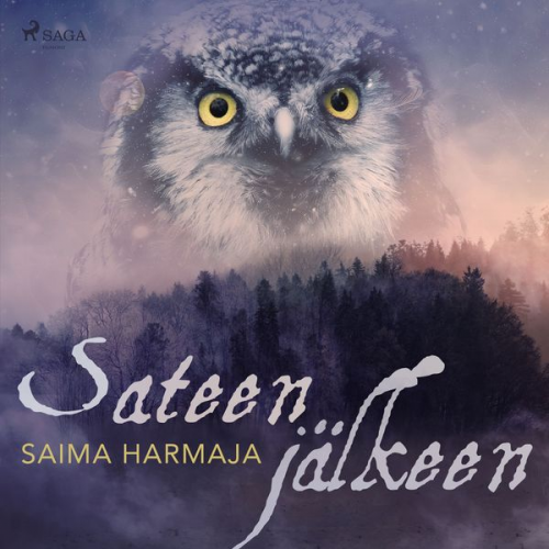 Saima Harmaja - Sateen jälkeen