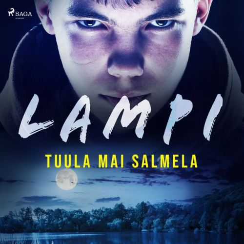 Tuula Mai Salmela - Lampi