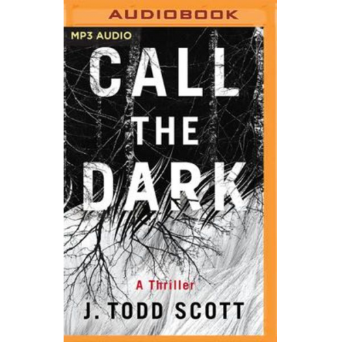 J. Todd Scott - Call the Dark: A Thriller