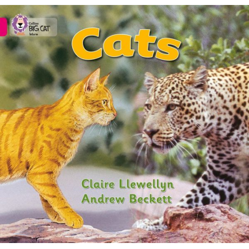 Claire Llewellyn - Cats