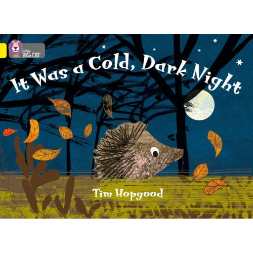 Tim Hopgood - It Was a Cold Dark Night