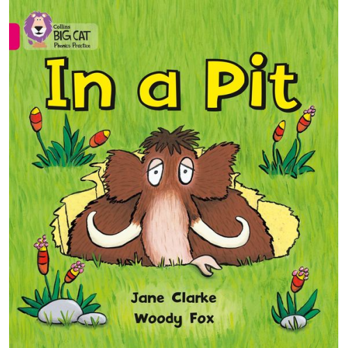 Jane Clarke Woody Fox - In a Pit