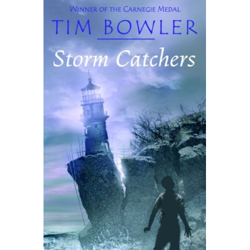 Tim Bowler - Storm Catchers