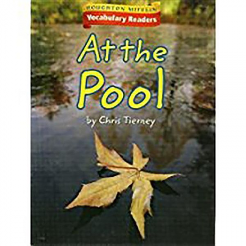 Read - At the Pool: Theme 2.3 Level 1