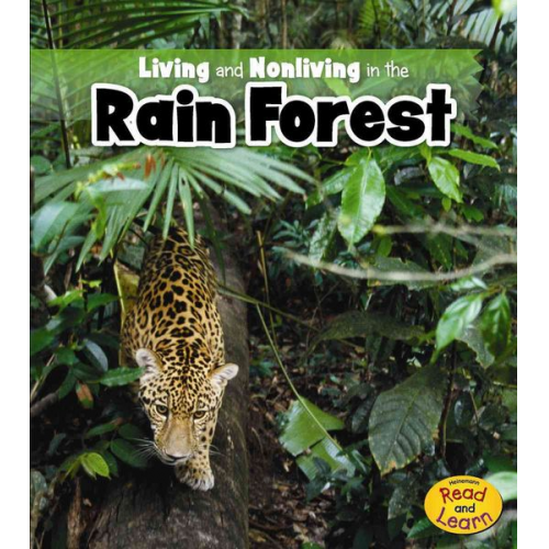 Rebecca Rissman - Living and Nonliving in the Rain Forest