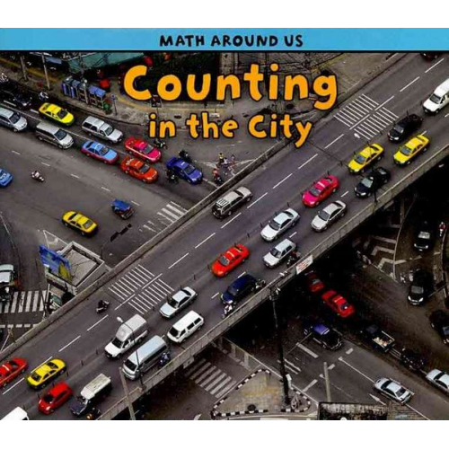 Tracey Steffora - Counting in the City