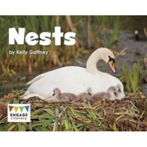 Kelly Gaffney - Nests