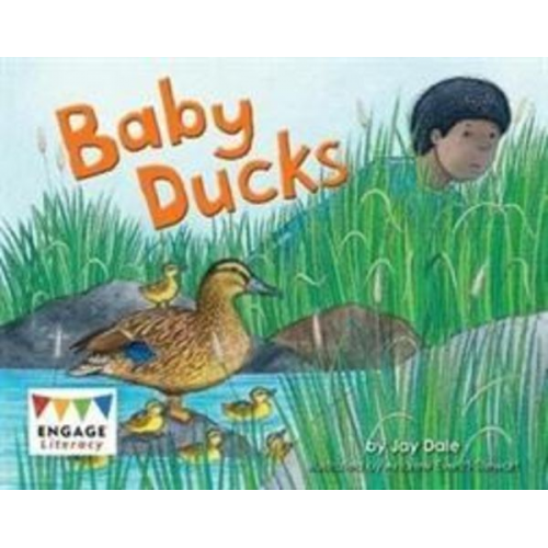 Jay Dale - Baby Ducks