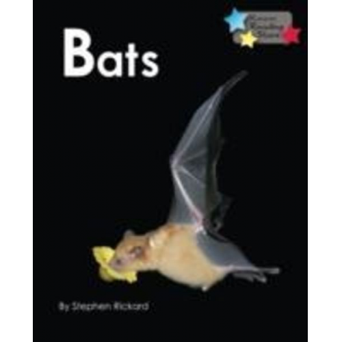 Rickard Stephen - Bats