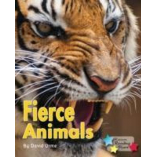 Fierce Animals