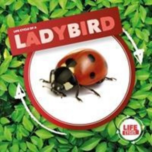 Kirsty Holmes - Ladybird