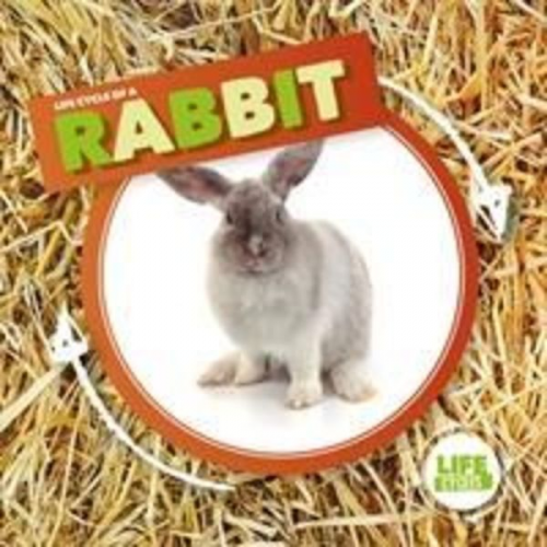 Kirsty Holmes - Rabbit