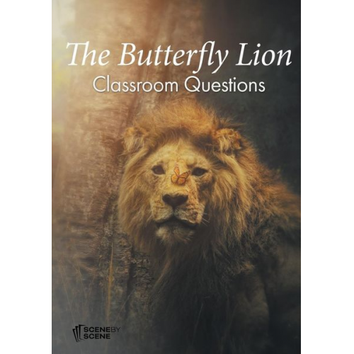 Amy Farrell - The Butterfly Lion Classroom Questions