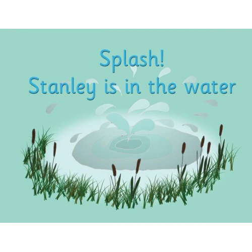R. M. Price-Mohr - Splash! Stanley is in the water