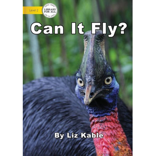 Liz Kable - Can It Fly?