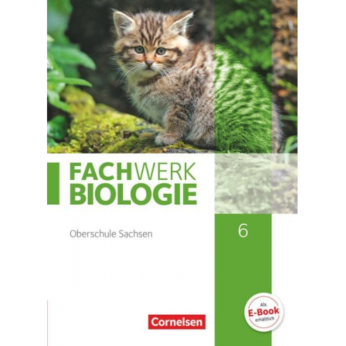 Udo Hampl Peter Pondorf Ingmar Stelzig Anke Pohlmann Lysann Tessendorf - Fachwerk Biologie 6. Schuljahr - Sachsen - Schülerbuch