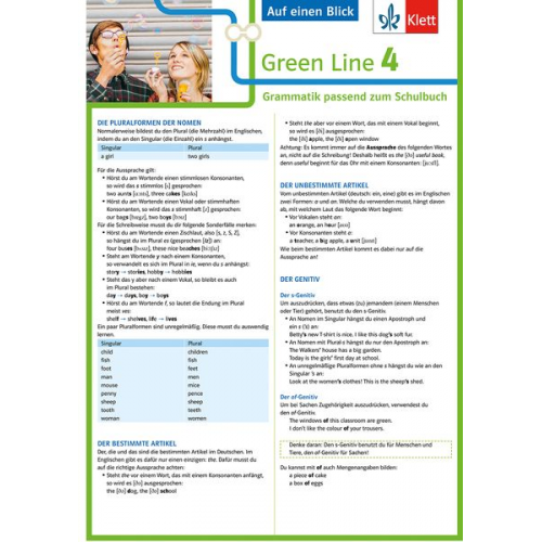 Green Line 4. Auf einen Blick. G8. Klasse 8. Grammatik passend zum Schulbuch - Klappkarte (6 Seiten)