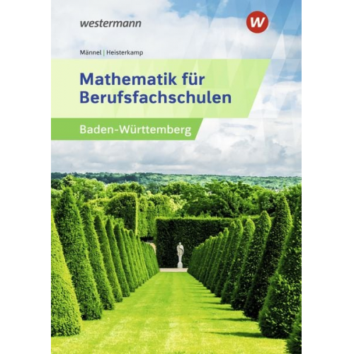 Markus Heisterkamp Rolf Männel - Mathematik für Berufsfachschulen. Schulbuch. Algebra und Geometrie