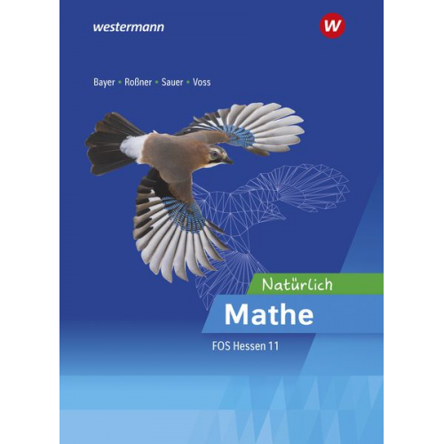 Marc Rossner Michael Sauer Margrit Bayer Torge Voss - Mathematik für die Fachoberschulen in Hessen. Ausbildungsabschnitt I: Schulbuch 11