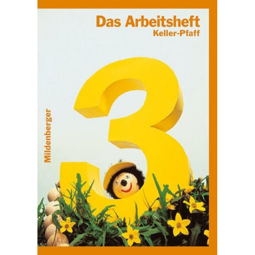 Peter Pfaff - Mathebuch 3. Arbeitsheft 3/Ausgabe BW/NRW